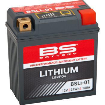 BS BATTERY Lithium LiFePO4 Battery - BSLi-01