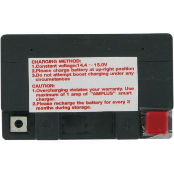 PARTS UNLIMITED Factory-Activated AGM Maintenance-Free Battery YTZ7S