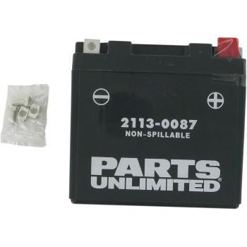 PARTS UNLIMITED Factory-Activated AGM Maintenance-Free Battery YTZ7S
