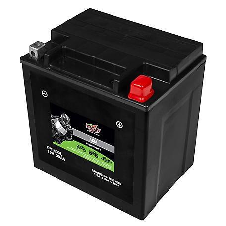 INTERSTATE BATTERY CYIX30L-BS
