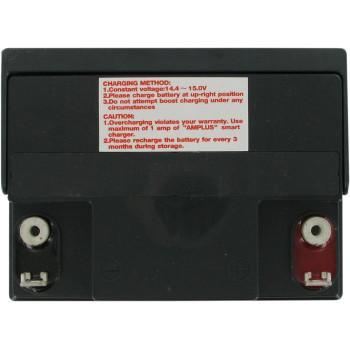 PARTS UNLIMITED Factory-Activated AGM Maintenance-Free Battery YIX30L