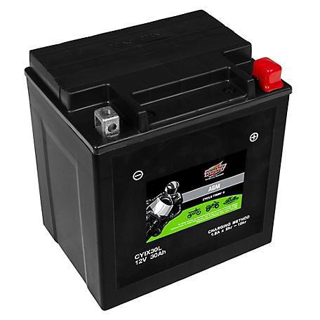 INTERSTATE BATTERY  CYIX30L-BS