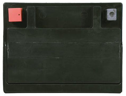 INTERSTATE BATTERY  FAITX30L-PW