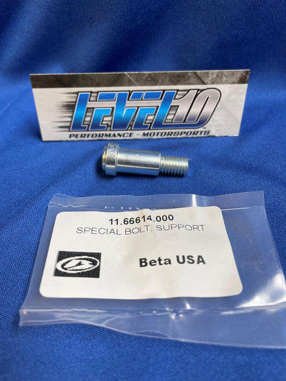 BETA SPECIAL BOLT, SUPPORT  11.66614.000