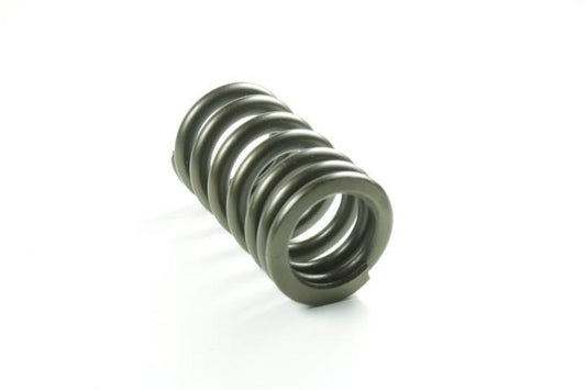 BETA VALVE SPRING 006-110340-000