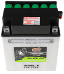 INTERSTATE BATTERY CONVENTIONAL CYCLE-TRON IB30CL-B