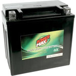 POWER MAX Maintenance-Free Battery GTX14-BS  YTX14-BS